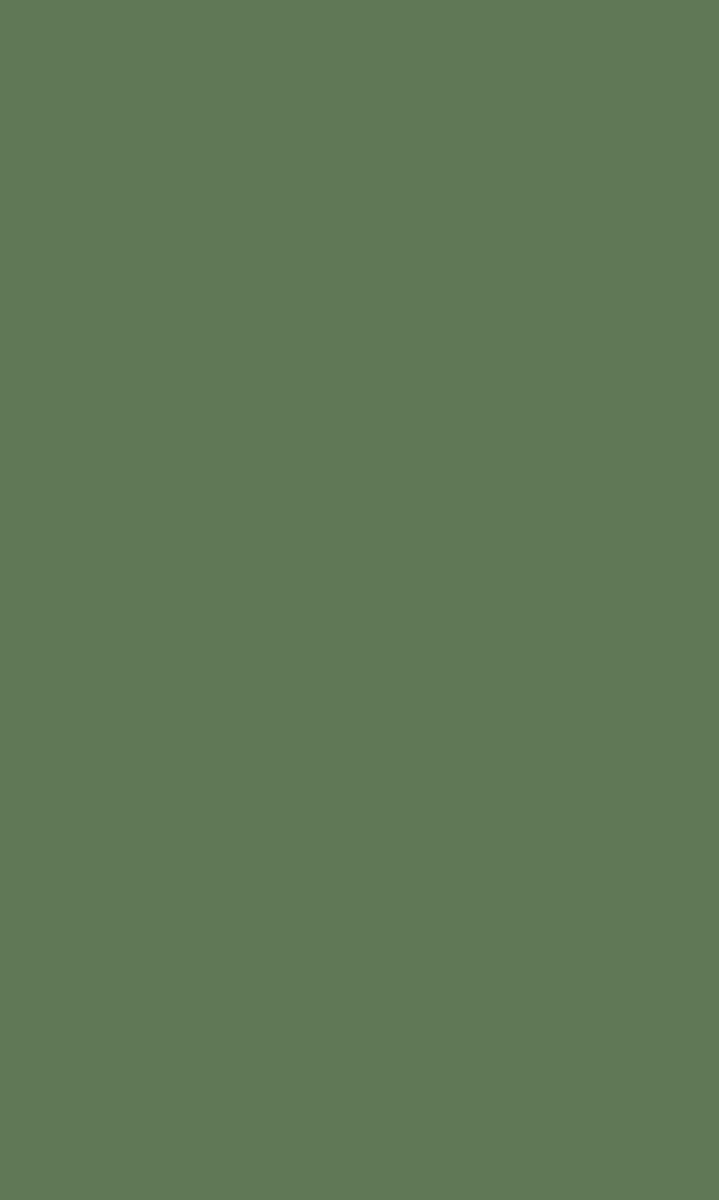 Luconyl® NG Green 9990 | Color Materials